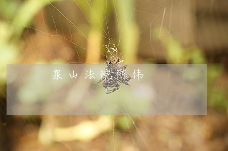 泉山法院陈伟 泉山法院陈伟