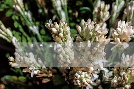 泉州三院司法鉴定 泉州三院司法鉴定