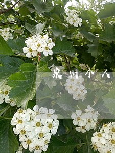 泉州个人法律顾问收费 泉州个人法律顾问收费