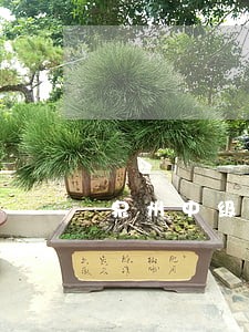 泉州中级人民法院韩天明