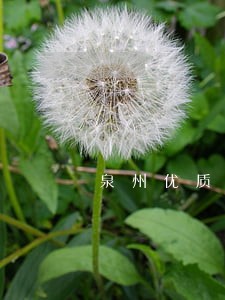泉州优质环境污染处罚律师 泉州优质环境污染处罚律师