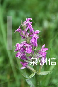 泉州信用卡逾期上黑名单 泉州信用卡逾期上黑名单