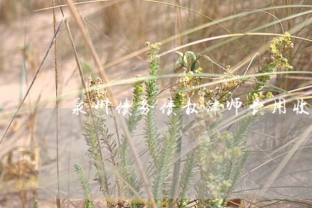 泉州债务债权律师费用收取标准 泉州债务债权律师费用收取标准
