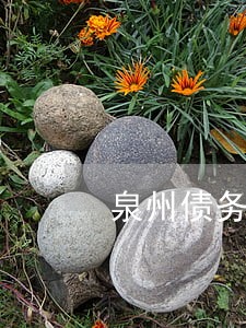 泉州债务和债权律师 泉州债务和债权律师