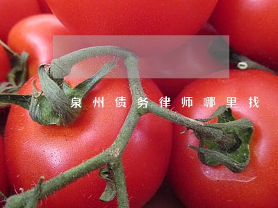 泉州债务律师哪里找 泉州债务律师哪里找