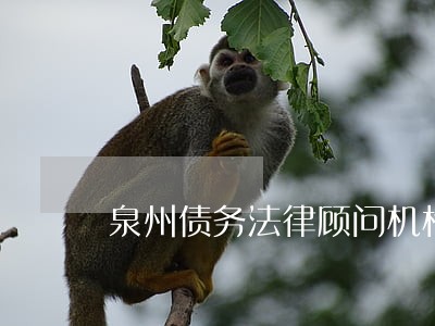 泉州债务法律顾问机构 泉州债务法律顾问机构