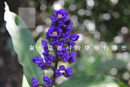 泉州债务纠纷律师有哪些 泉州债务纠纷律师有哪些
