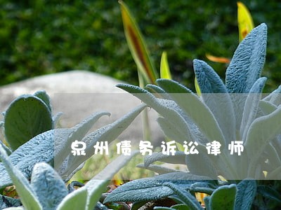 泉州债务诉讼律师 泉州债务诉讼律师