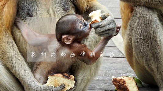 泉州内部法律顾问报价