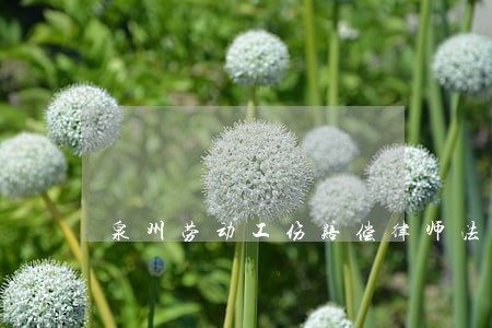 泉州劳动工伤赔偿律师法律咨询