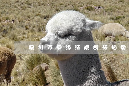 泉州市中级法院司法拍卖网 泉州市中级法院司法拍卖网