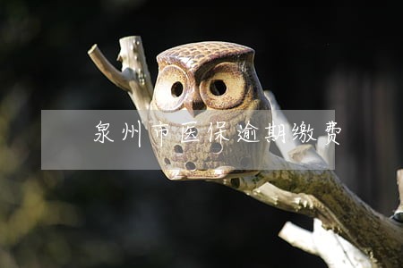 泉州市医保逾期缴费 泉州市医保逾期缴费