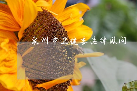 泉州市卫健委法律顾问 泉州市卫健委法律顾问