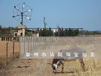 泉州市法院淘宝拍卖 泉州市法院淘宝拍卖