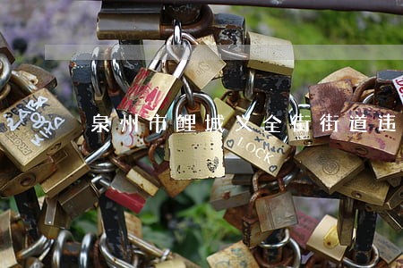 泉州市鲤城义全街街道违法停车