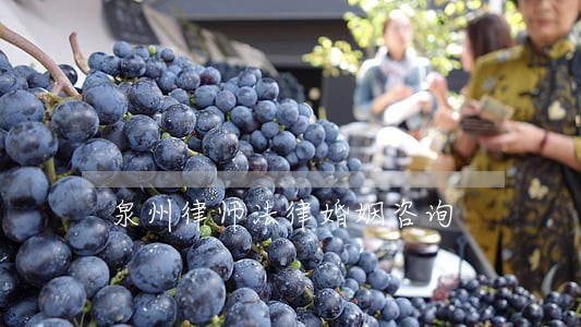 泉州律师法律婚姻咨询 泉州律师法律婚姻咨询