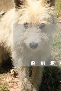 泉州惠安崇武法院几点上班