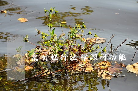泉州推行法律顾问功能 泉州推行法律顾问功能