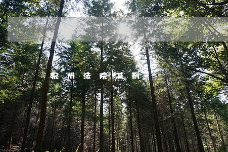 泉州法院减刑