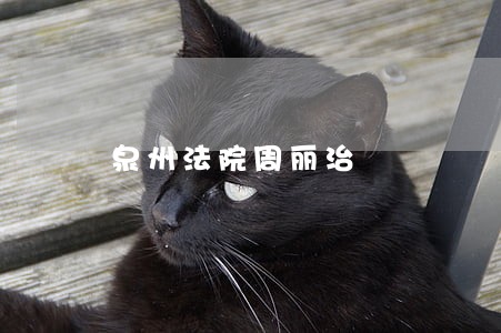 泉州法院周丽治