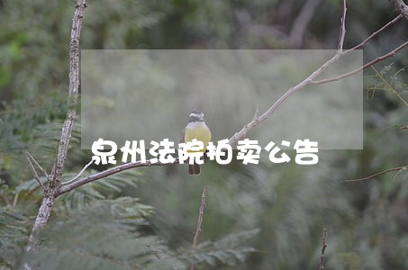 泉州法院拍卖公告 泉州法院拍卖公告