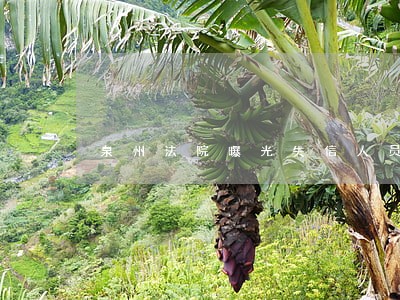 泉州法院曝光失信人员