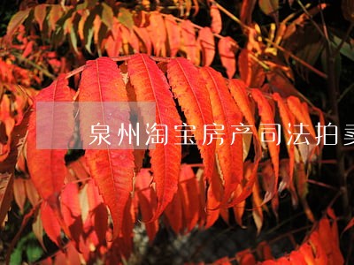 泉州淘宝房产司法拍卖