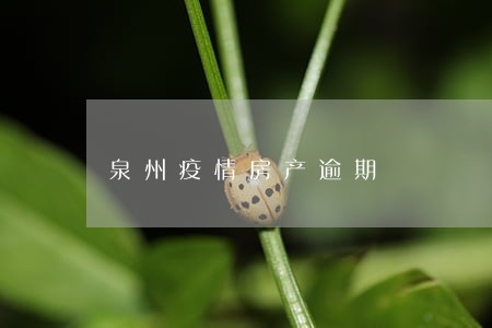 泉州疫情房产逾期 泉州疫情房产逾期