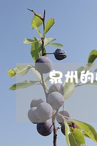 泉州的婚姻律师事务所 泉州的婚姻律师事务所