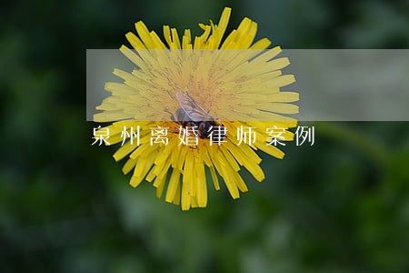 泉州离婚律师案例 泉州离婚律师案例