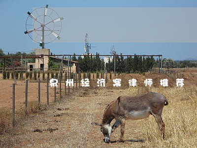 泉州经济案律师推荐 泉州经济案律师推荐