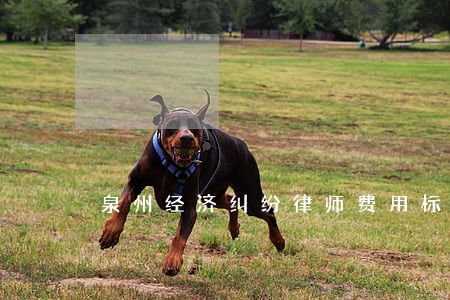 泉州经济纠纷律师费用标准 泉州经济纠纷律师费用标准