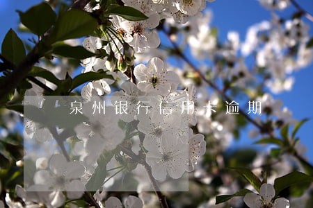 泉州银行信用卡逾期 泉州银行信用卡逾期