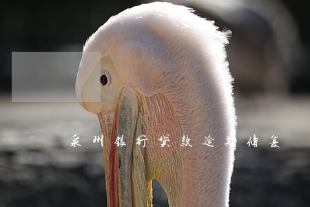 泉州银行贷款逾期修复 泉州银行贷款逾期修复