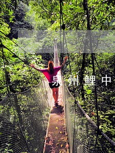 泉州鲤中法院在那 泉州鲤中法院在那