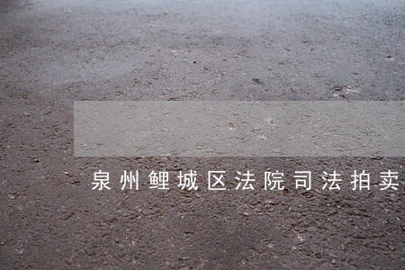 泉州鲤城区法院司法拍卖 泉州鲤城区法院司法拍卖