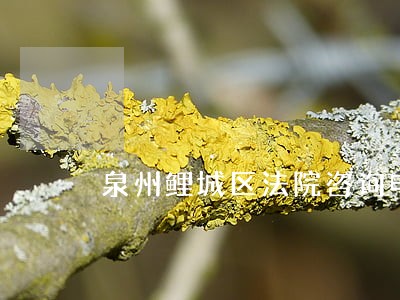 泉州鲤城区法院咨询电话 泉州鲤城区法院咨询电话