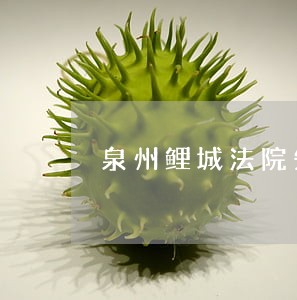 泉州鲤城法院失信名单