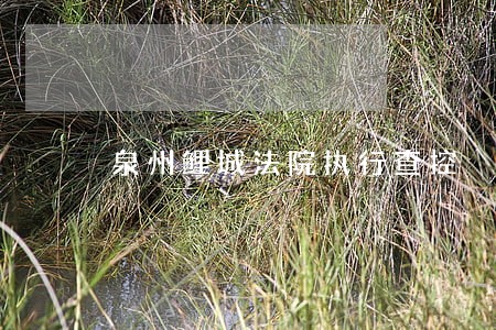 泉州鲤城法院执行查控 泉州鲤城法院执行查控