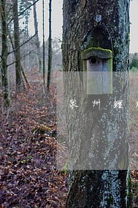 泉州鲤城法院拍卖厂区