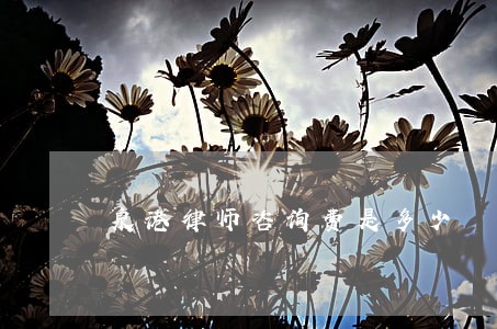 泉港律师咨询费是多少 泉港律师咨询费是多少