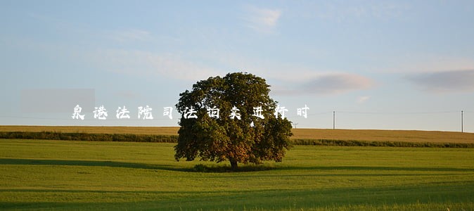 泉港法院司法拍卖进行时 泉港法院司法拍卖进行时