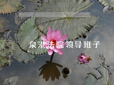 泉港法院领导班子 泉港法院领导班子