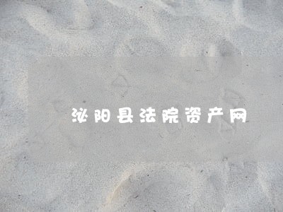 泌阳县法院资产网 泌阳县法院资产网