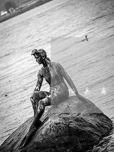 泌阳县离婚律师哪里的 泌阳县离婚律师哪里的