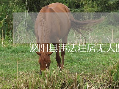 泌阳县违法建房无人监管