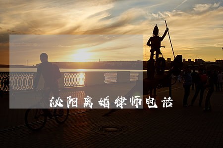 泌阳离婚律师电话