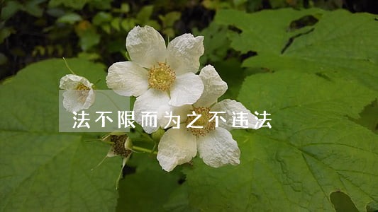 法不限而为之不违法 法不限而为之不违法