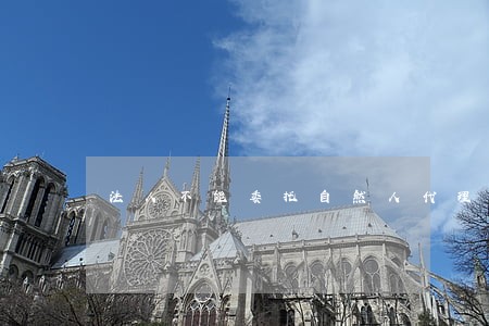 法人不能委托自然人代理诉讼吗 法人不能委托自然人代理诉讼吗