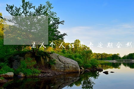 法人个人信用卡逾期会影响公司吗